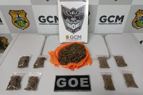 Homem é detido pela GCM com maconha mais forte e mais cara em PG