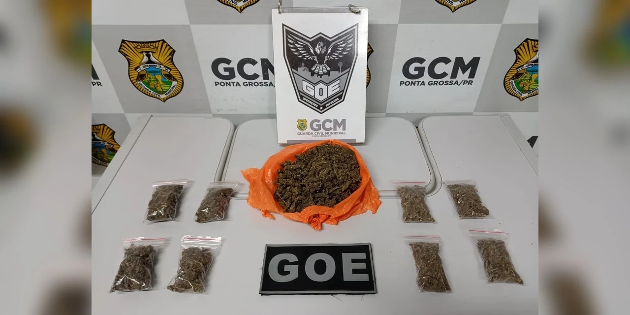 Homem é detido pela GCM com maconha mais forte e mais cara em PG