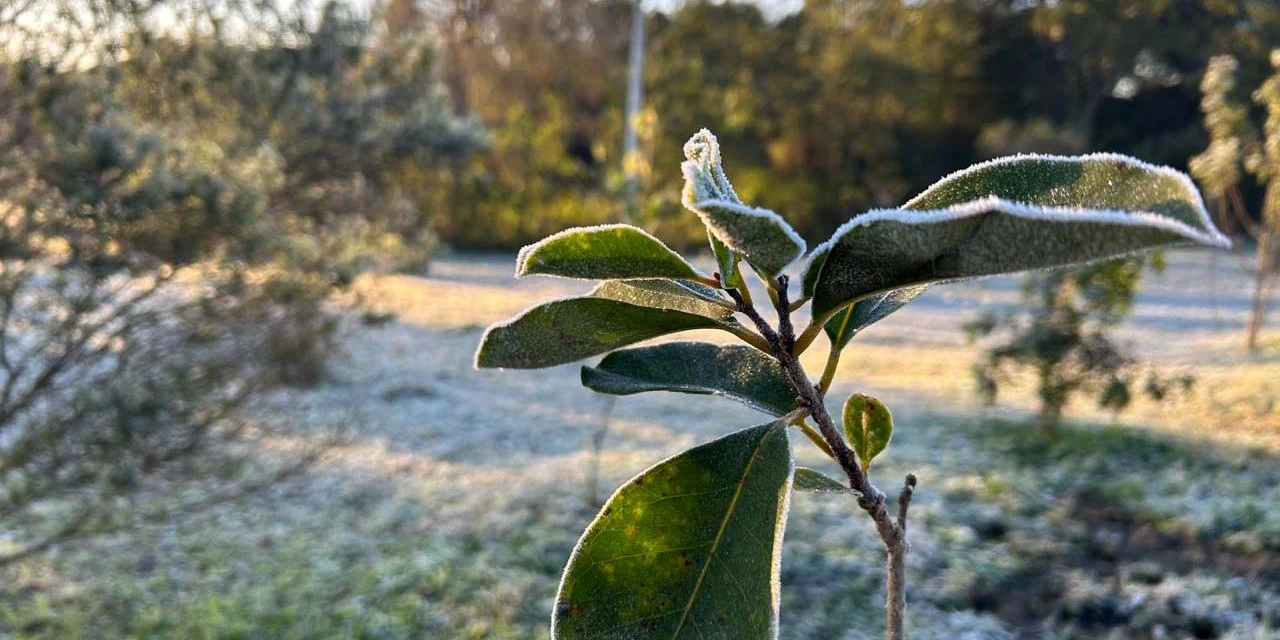 13 de agosto foi o dia mais frio do ano em todo Paraná