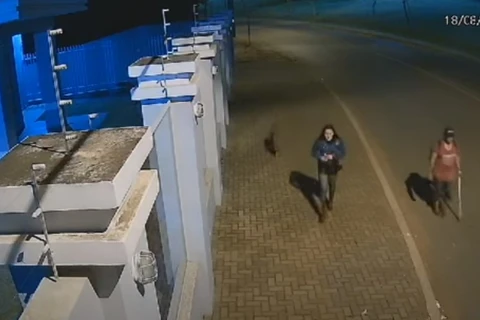 Polícia age rápido e prende suspeito de crime brutal em Arapoti