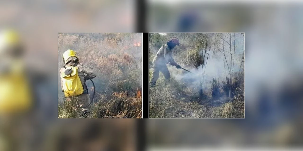 Dupla flagrada provocando queimada em Irati é autuada pela policia