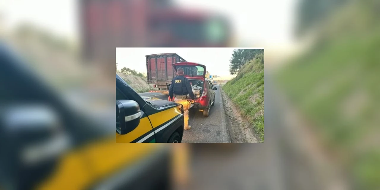 Adolescente, de 16 anos é flagrada dirigindo veiculo carregado com maconha, em Palmeira