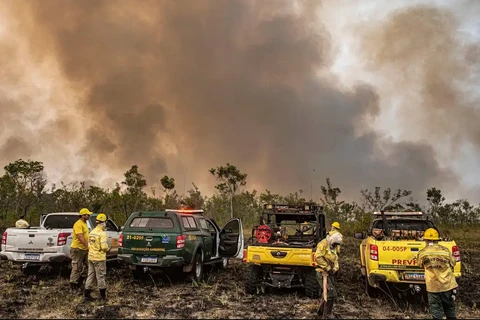 Força Nacional do SUS reforça apoio a estados afetados por queimadas