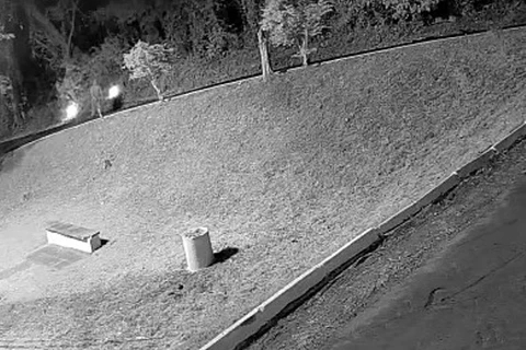 Homem é flagrado colocando fogo em parque de Ponta Grossa