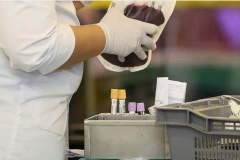 STF reconhece direito de testemunhas de Jeová recusar transfusão