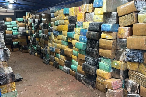 Polícia Civil  apreende 11 toneladas de maconha escondida em chácara  no PR