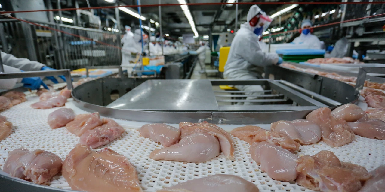 Paraná bate US$ 18,1 bilhões de exportações com liderança de carnes e óleos vegetais