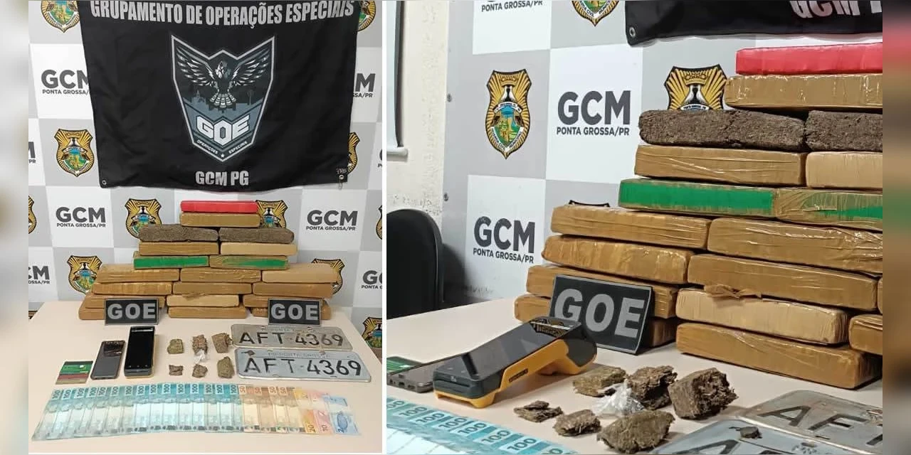 GOE da GCM apreende 20 kg de maconha em Ponta Grossa