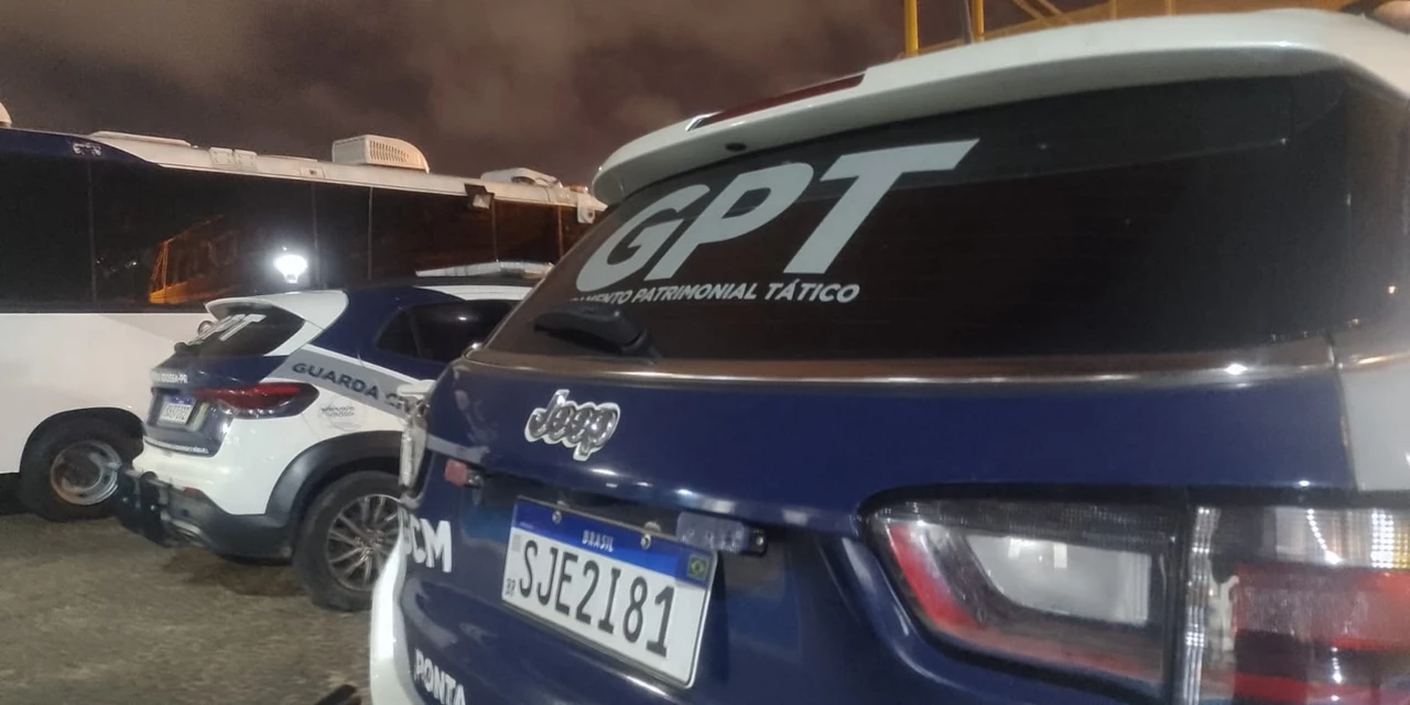 Acusados de agredir e roubar vitima no centro de PG são presos pela GCM