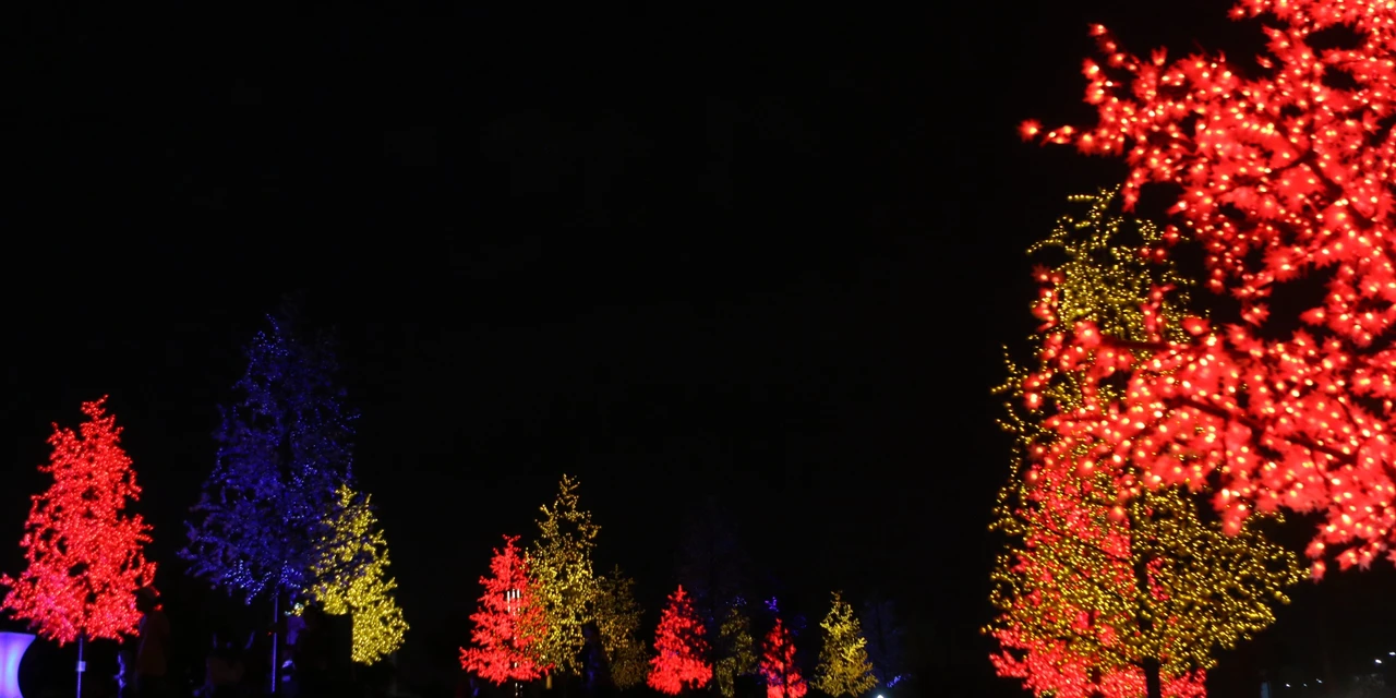 Bosque de Luz retorna a Ponta Grossa para abrir o Natal 2024 com jardim mágico