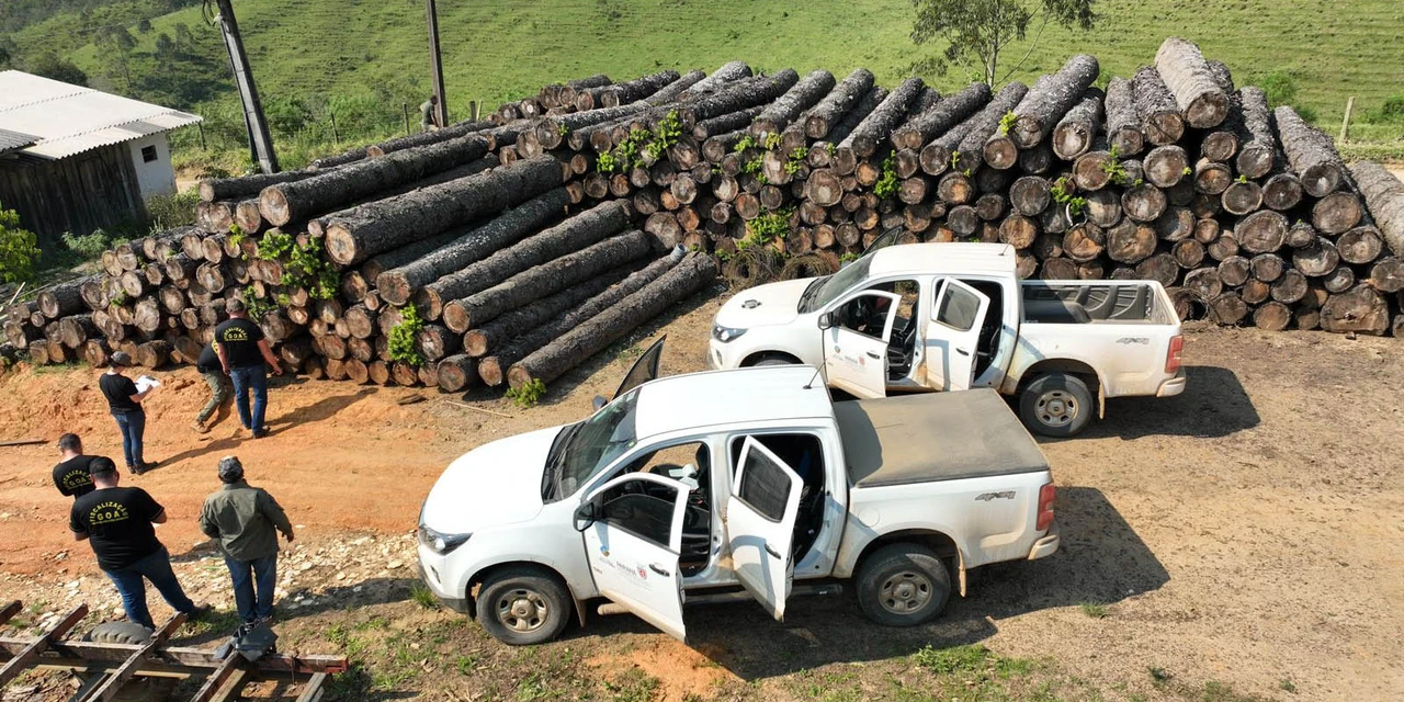 Multa por crimes ambientais cresce 24% no Paraná entre janeiro e novembro de 2024