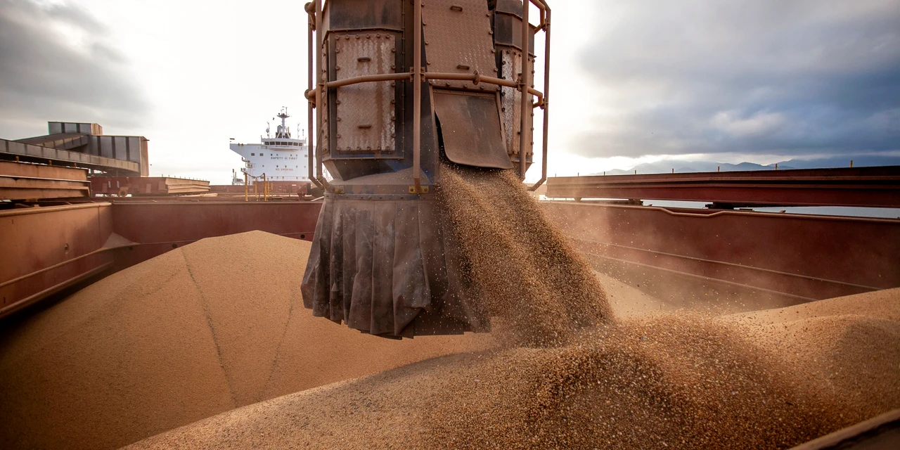 Com 5º melhor resultado de exportações em 2024, Paraná tem superávit de US$ 3,7 bilhões