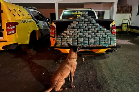 PMPR e Polícia Federal apreendem 104 quilos de pasta base de cocaína