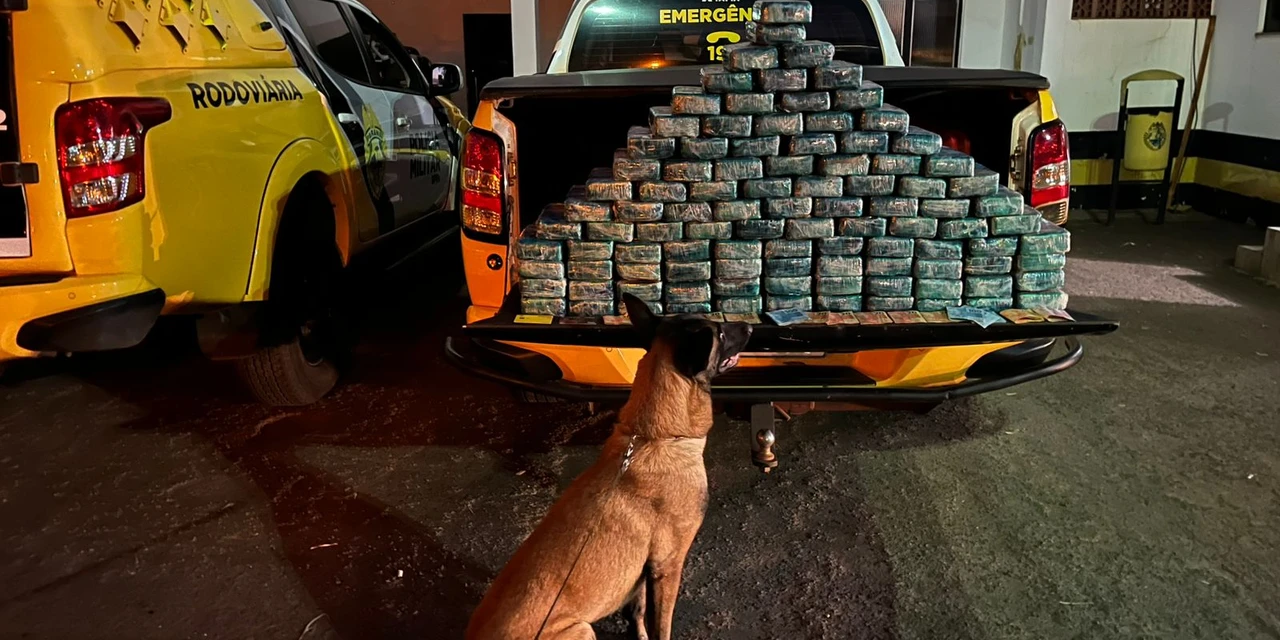 PMPR e Polícia Federal apreendem 104 quilos de pasta base de cocaína