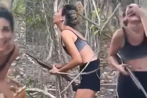 Ibama procura mulher por torturar e matar onça-parda; crime foi gravado