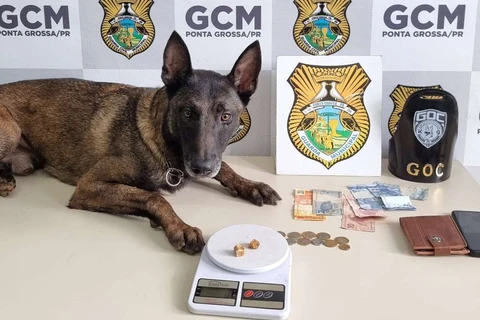 Guarda Civil Municipal prende suspeito de tráfico na praça Barão do Rio Branco