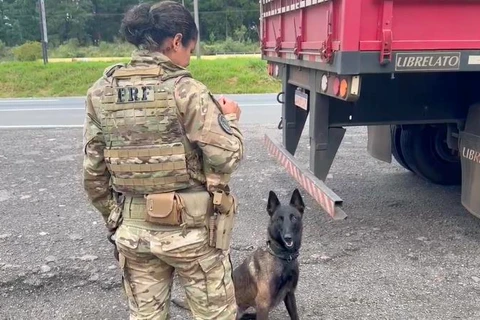 PRF apreende mais de 100 quilos de cocaína na BR-277, em São Luiz do Purunã