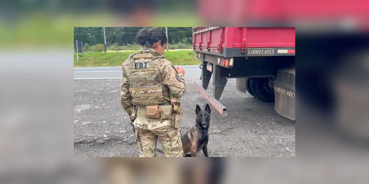 PRF apreende mais de 100 quilos de cocaína na BR-277, em São Luiz do Purunã