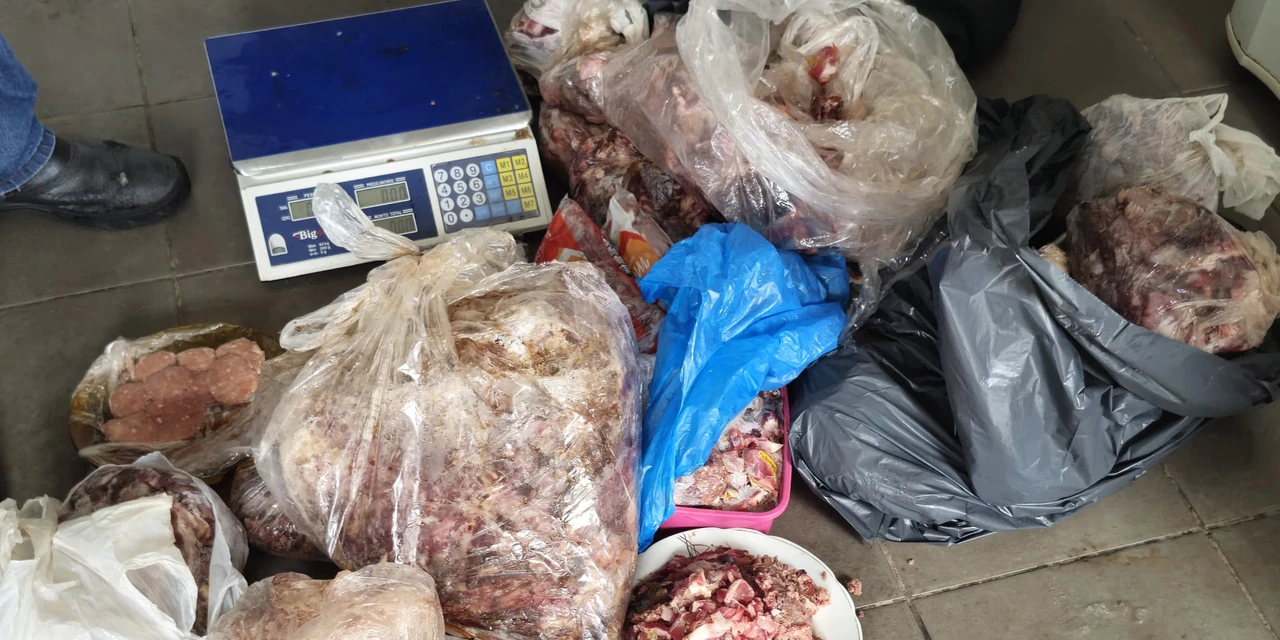 PCPR e Vigilância Sanitária apreendem 161 quilos de carne em Pontal do Paraná