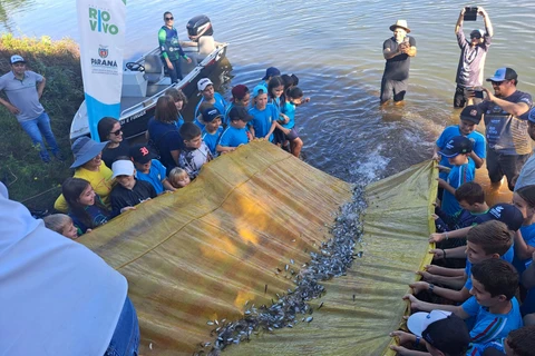 Soltura de 50 mil peixes no Rio Iguaçu tem participação de crianças e educação ambiental
