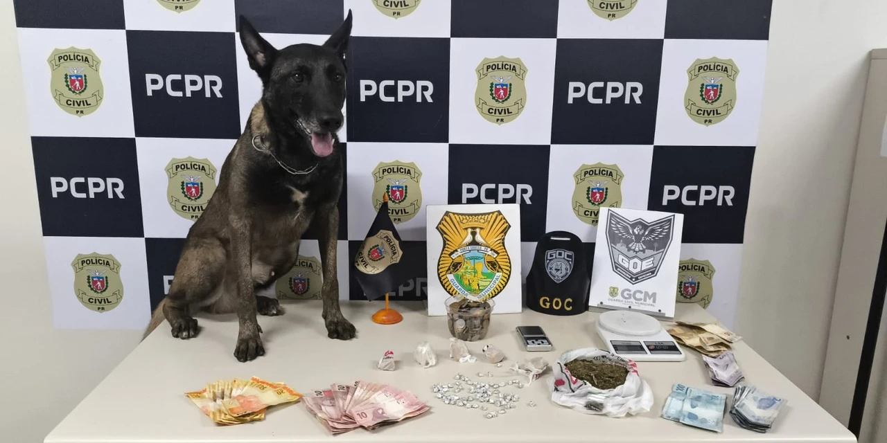 Ação integrada da PC e GCM prende casal de traficantes na Coronel Claudio em PG