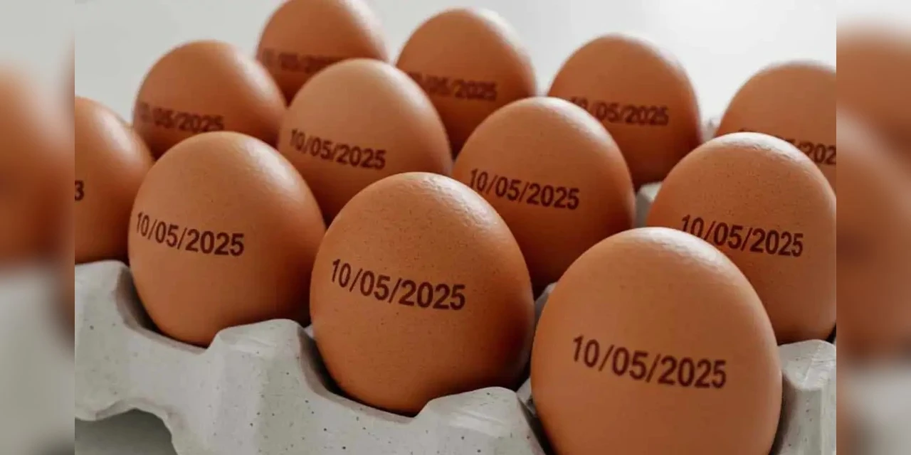 Agricultura suspende determinação de carimbar data de validade em ovos