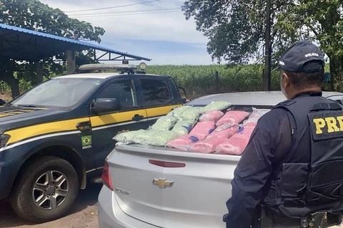 PRF apreende 90 mil comprimidos de ecstasy e faz 2ª maior apreensão da história do órgão