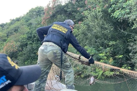Piracema: ações do IAT resultam em 44 kg de peixes apreendidos e R$ 127 mil em multas