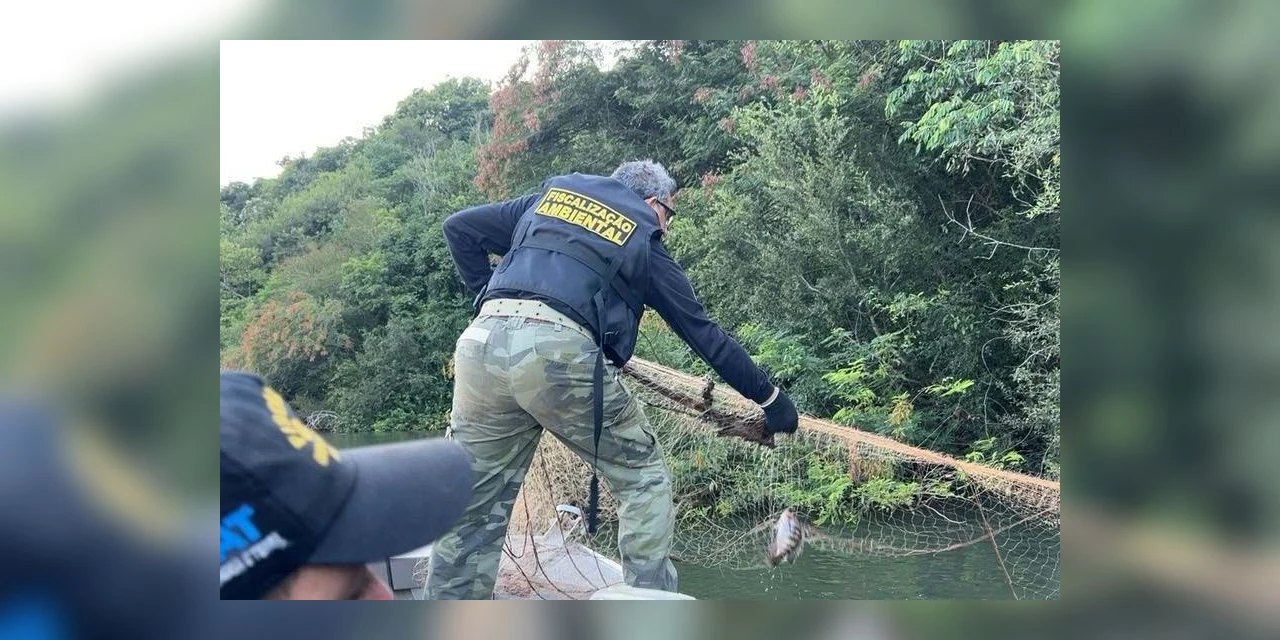 Piracema: ações do IAT resultam em 44 kg de peixes apreendidos e R$ 127 mil em multas