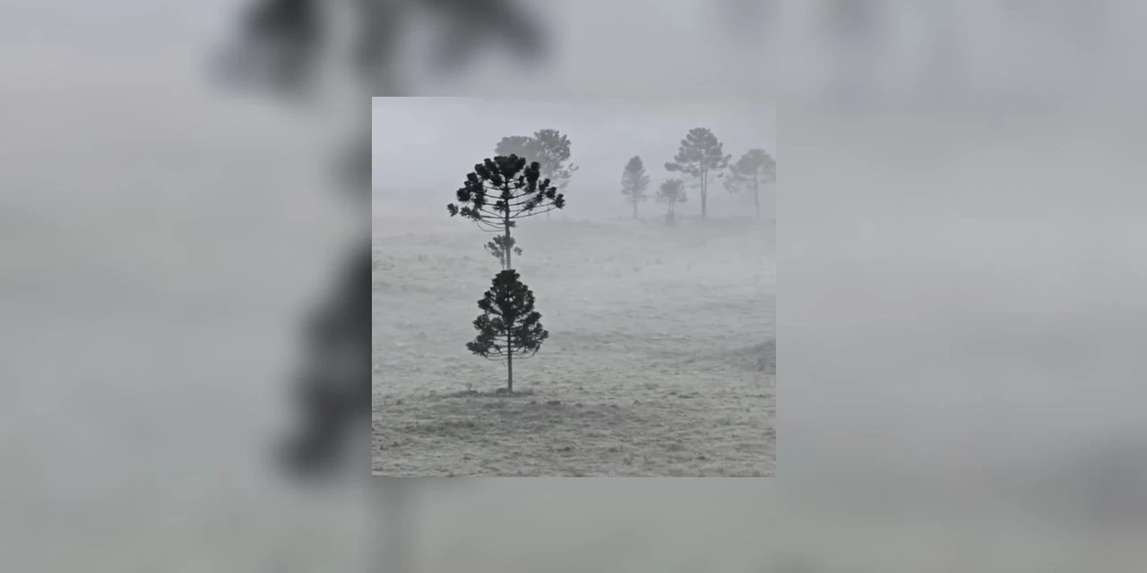 Serra catarinense registra 1ª geada de 2025