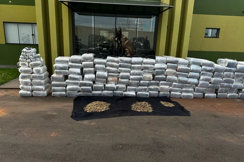 Com apoio de cão de faro, PMPR encontra 2 toneladas de drogas e armas em bunker no Interior