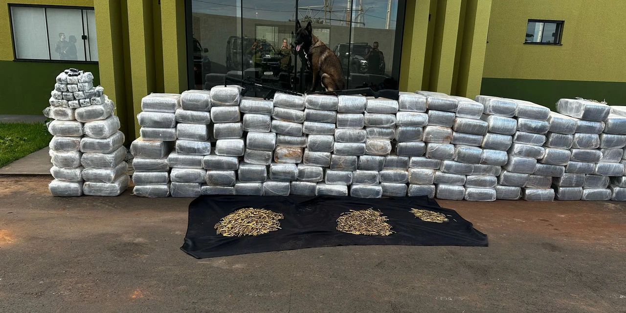Com apoio de cão de faro, PMPR encontra 2 toneladas de drogas e armas em bunker no Interior