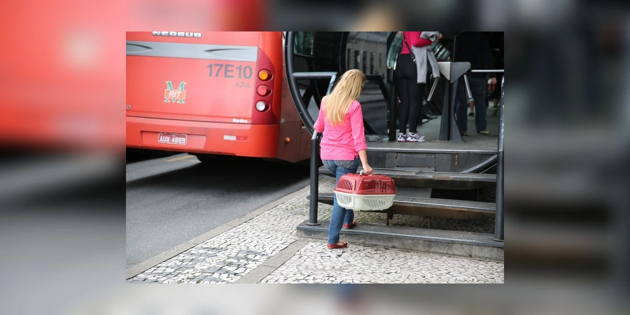 Câmara de Curitiba vota transporte de pets no transporte coletivo