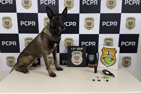 Ação conjunta da PCPR e GCM fecha ponto de tráfico no Contorno, em PG