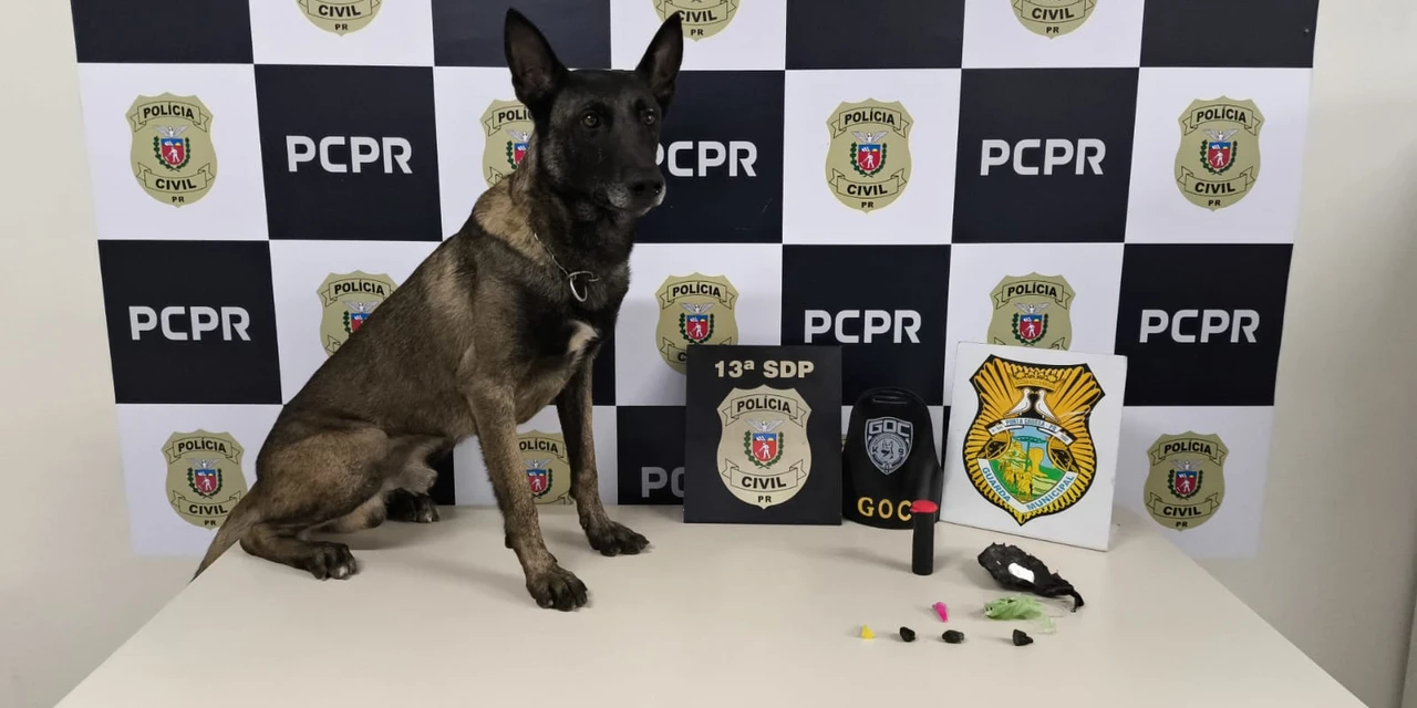 Ação conjunta da PCPR e GCM fecha ponto de tráfico no Contorno, em PG