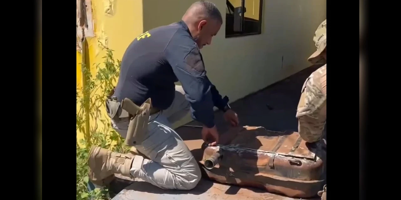 PRF apreende 26 kg de drogas em Belina que transportava galinhas