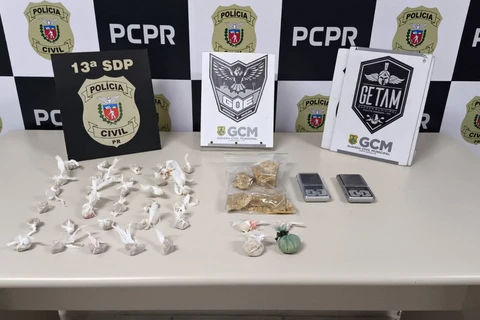 GCM apreende drogas que abasteceriam “biqueiras” no centro de PG
