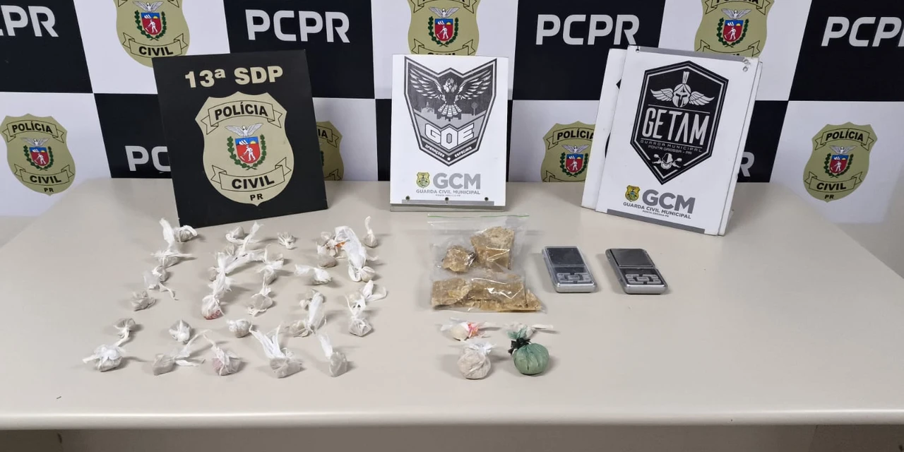 GCM apreende drogas que abasteceriam “biqueiras” no centro de PG