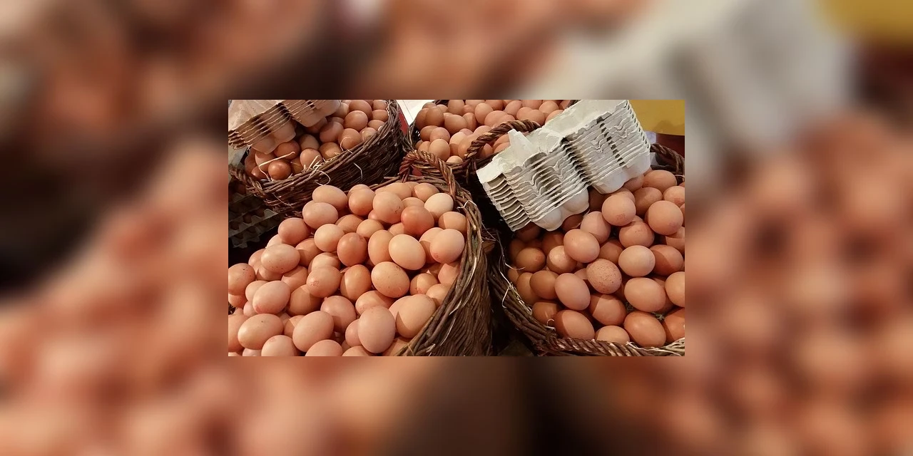 Contrabando de ovos supera tráfico de drogas na fronteira entre México e EUA