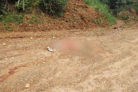 Homem é encontrado morto em Carambei; policia investiga o caso