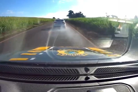 Após fuga e perseguição, PRF apreende mais de meia tonelada de maconha no PR 