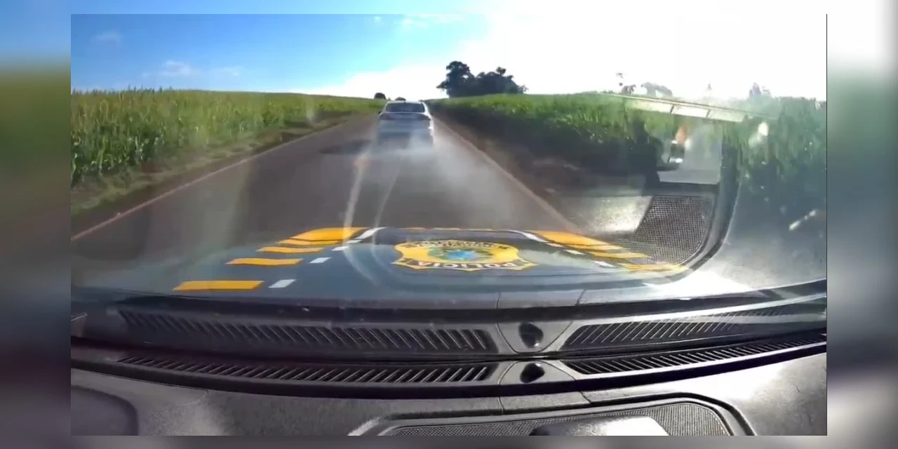 Após fuga e perseguição, PRF apreende mais de meia tonelada de maconha no PR 