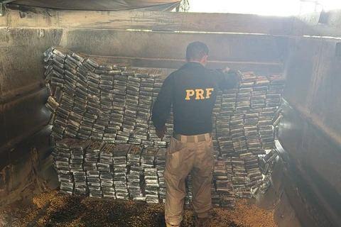 PRF apreende mais de 600 kg de cocaína no Paraná e realiza a maior apreensão da droga no país em 2025