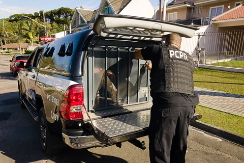 PCPR prende duas pessoas e desmantela ponto de desmanche de veículos e tráfico em Paranaguá