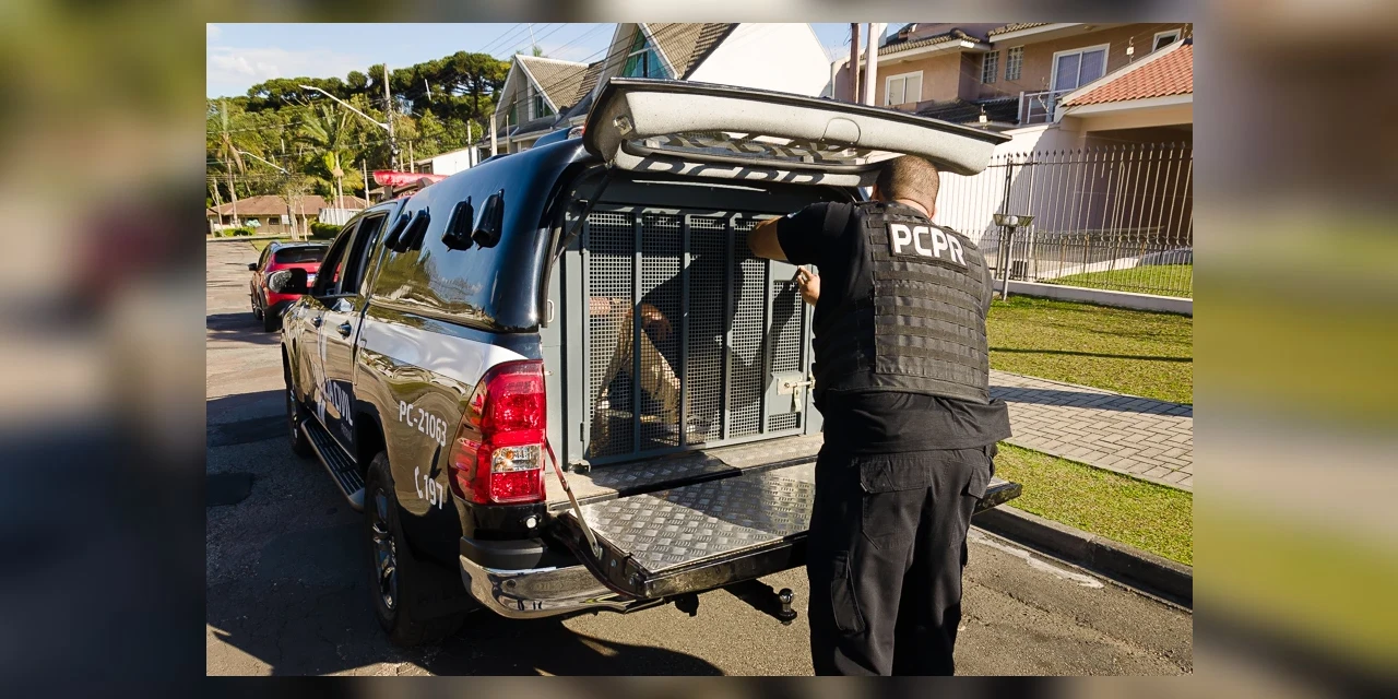 PCPR prende duas pessoas e desmantela ponto de desmanche de veículos e tráfico em Paranaguá