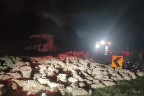  Tombamento de caminhão na PR-151 em Castro deixa uma pessoa ferida 