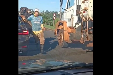 Touro solto em avenida avança sobre homem e quebra BMW; assista! 