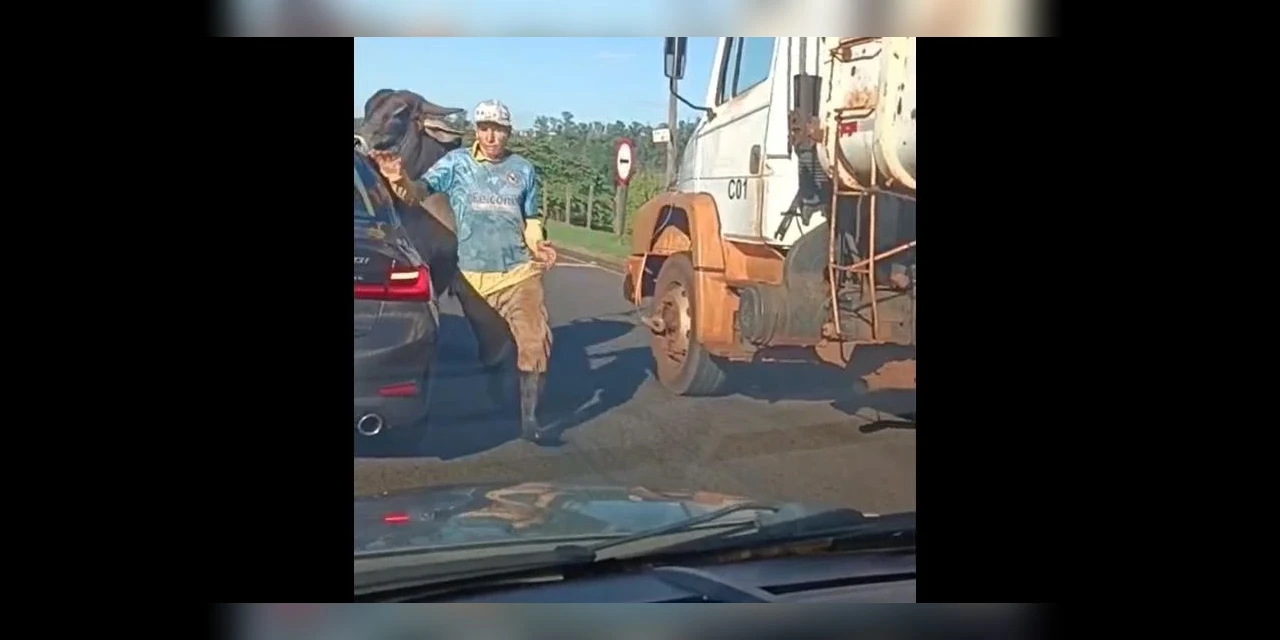 Touro solto em avenida avança sobre homem e quebra BMW; assista! 