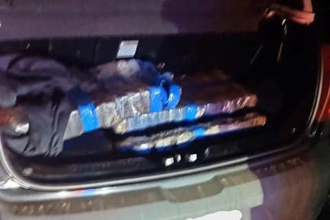 Mulher é detida transportando quase 100 kg de maconha, em PG 