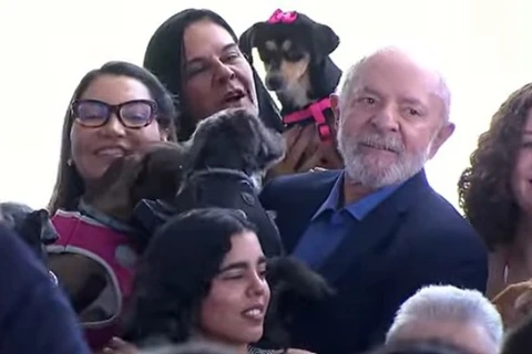 Lula lança sistema gratuito de RG para cães e gatos